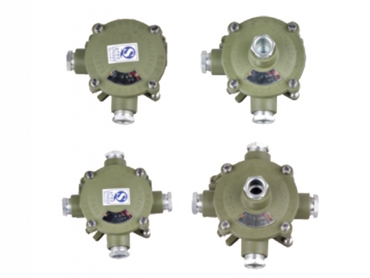 Wholesale Explosion Proof Boxes And Fittings - AH series Explosion-proof junction box – Feice detail pictures