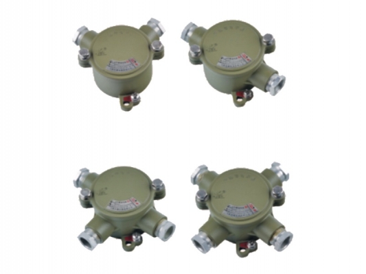 Wholesale Explosion Proof Boxes And Fittings - AH series Explosion-proof junction box – Feice detail pictures